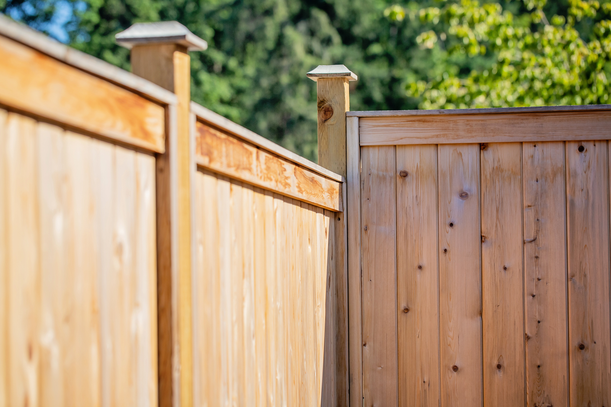 Wood vs. Vinyl Fencing: Which Is Right for Your Property? 1